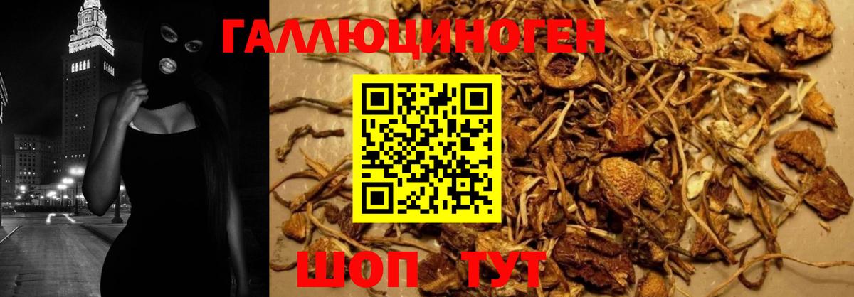 Псилоцибиновые грибы Magic Shrooms Белово